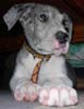 Thor_03